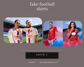 fake Lyon football shirts 23-24